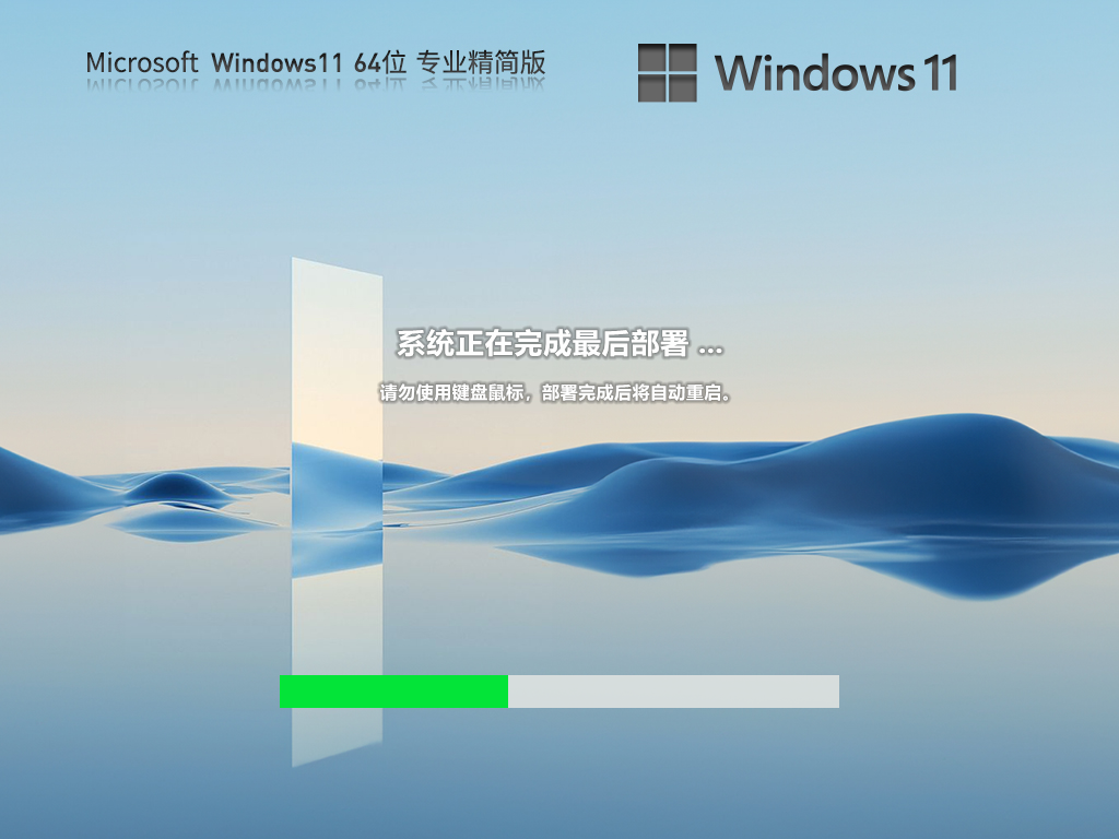 Windows11 22H2 64位 专业精简版